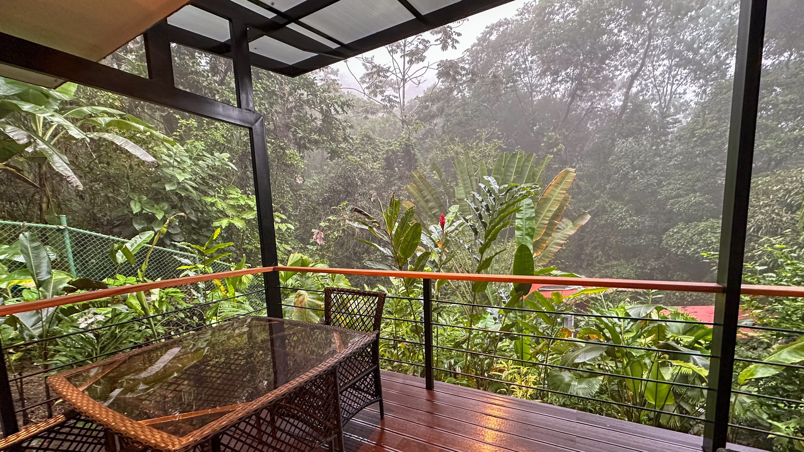 Costa Rica 2024 12 03 15 47 50 iPhone 14 Pro 22_02_02_2025